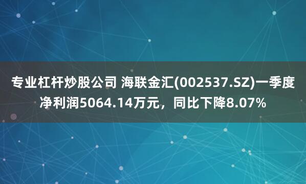 专业杠杆炒股公司 海联金汇(002537.SZ)一季度净利润5064.14万元，同比下降8.07%